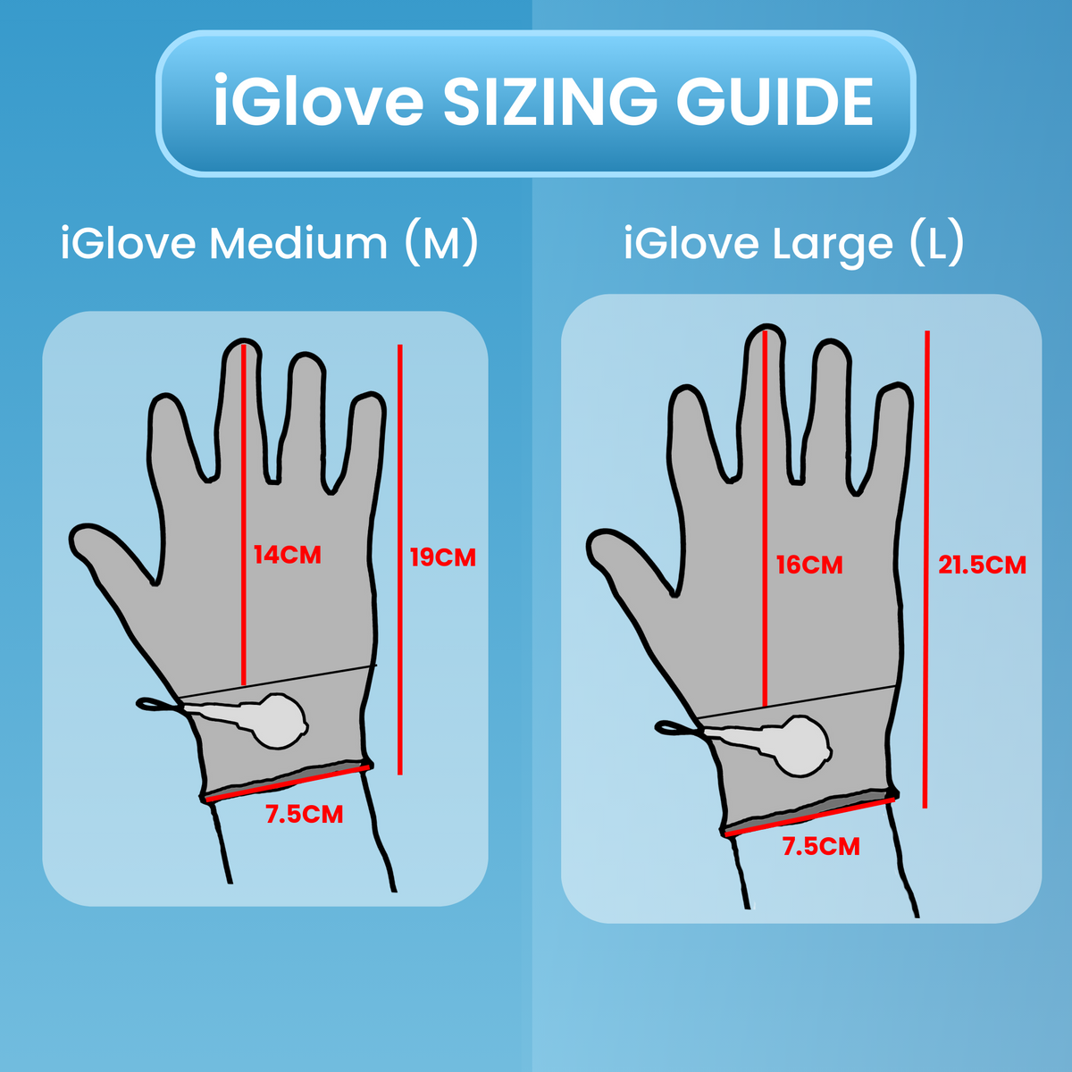 iGlove sizing guide comparing medium and large glove measurements