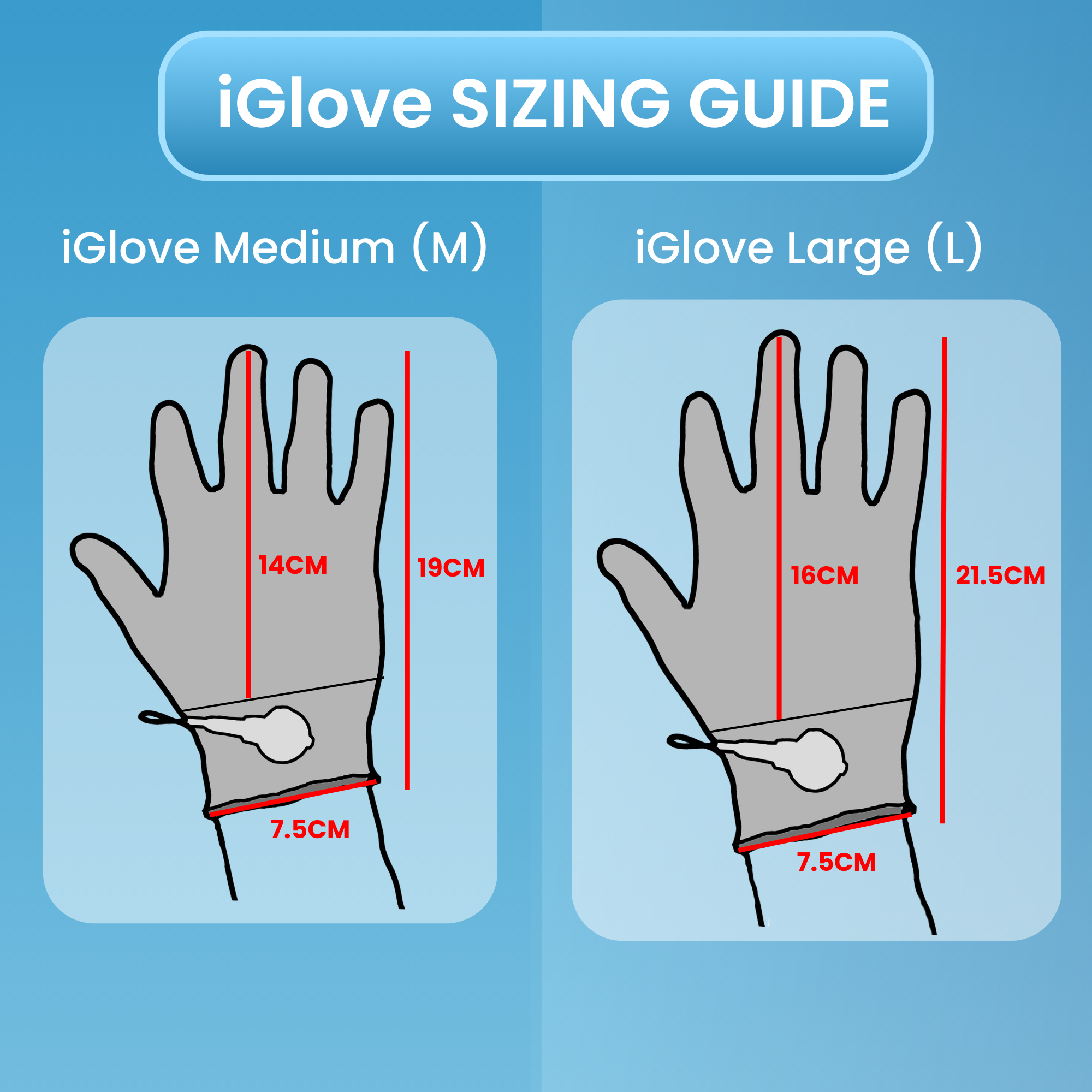 iGlove sizing guide comparing medium and large glove measurements